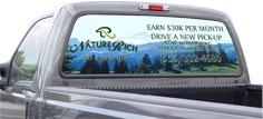 Rear Window Graphics