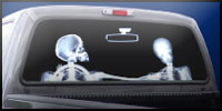 Rear Window Graphics