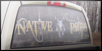 Rear Window Graphics
